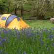 A Guide To Camping For The Hygiene Enthusiast 6 Tent Camping