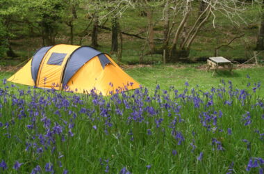 A Guide To Camping For The Hygiene Enthusiast 33 Tent Camping