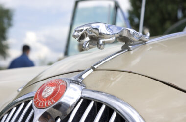 Yes, You Can Afford A Jaguar! Here's How 11 Jaguar Emblum