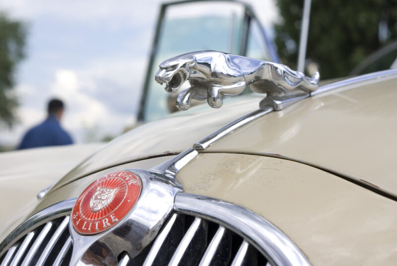 Yes, You Can Afford A Jaguar! Here's How 4 Jaguar Emblum