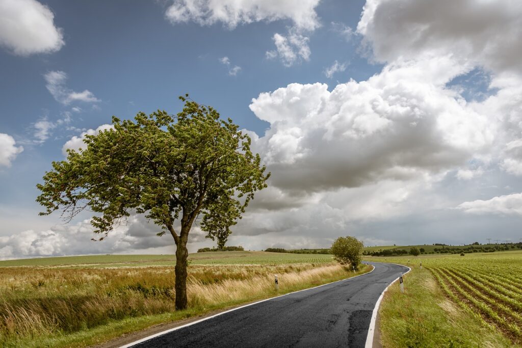 5 Types Of Drivers You'll Find On Britain's Roads 6 Sunday Drivers