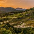 Japan: Why It Should Be on the Top of Your Travel List 5 Japan