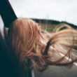 Not All Auto Insurance Is Born Equal 6 Not All Auto Insurance Is Born Equal