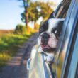 Why Replace A Car If You Can Restore The Love Of Your Current Ride? 6 Happy Driving Car