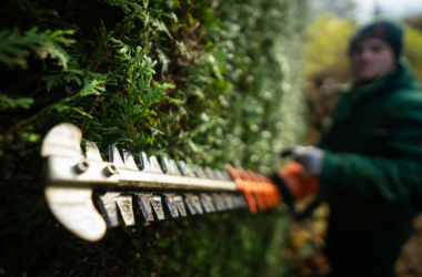 The Practical Benefits of Electric Powered Tools for Garden Maintenance 4 The Practical Benefits of Electric Powered Tools for Garden Maintenance aAAH7Vn1zAAAAAElFTkSuQmCC