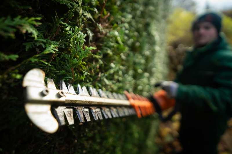 The Practical Benefits of Electric Powered Tools for Garden Maintenance 4 The Practical Benefits of Electric Powered Tools for Garden Maintenance